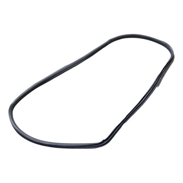 Borracha Porta Traseira Direita Fiat Linea 2009 2014