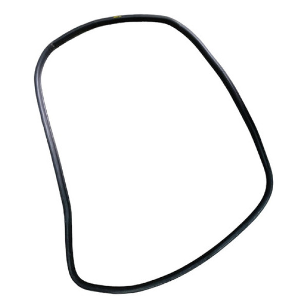 Borracha Porta Traseira Esquerda Bmw 320i 2014/2017