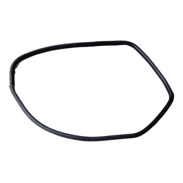 Borracha Porta Traseira Esquerda Bmw X1 2010 2011 2012 2013 