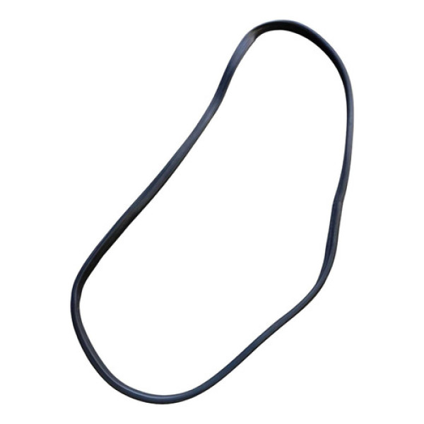 Borracha Porta Traseira Esquerda Renault Sandero 2015 2019