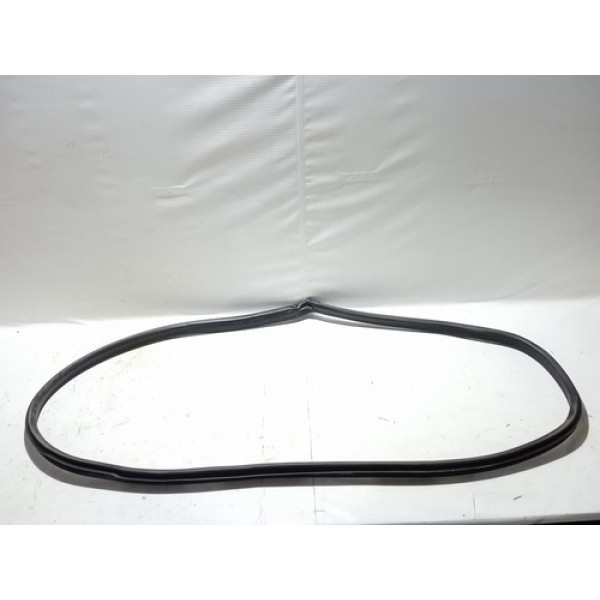 Borracha Porta Traseira Esquerda New Fiesta Sedã 2014/2017 