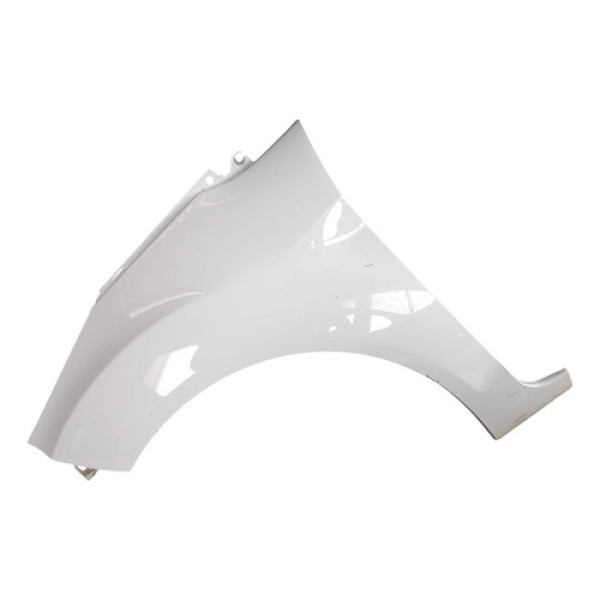 Paralama Esquerdo Ford New Fiesta 2014 2017 