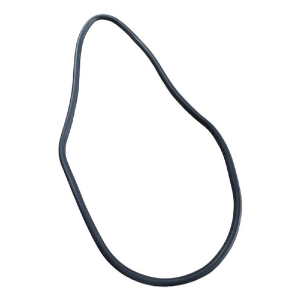 Borracha Porta Traseira Direita Gm Sonic Hatch 2012/2014 