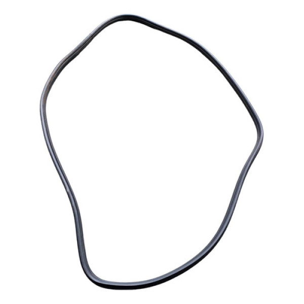 Borracha Porta Traseira Direita C4 Lounge Exclusive 2014