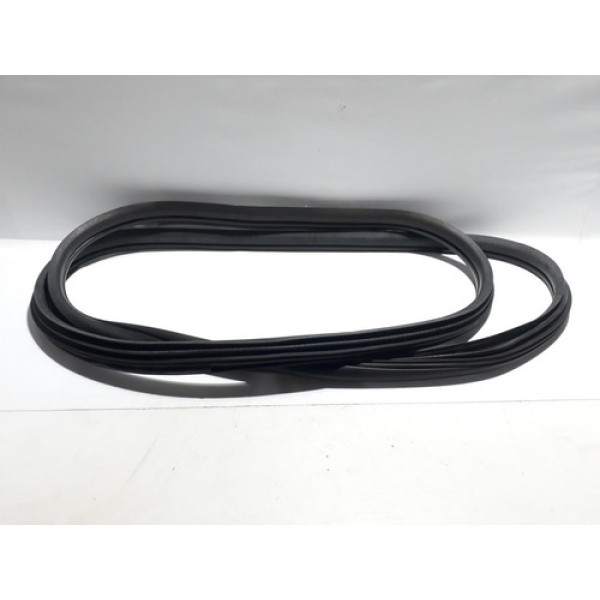 Borracha Porta Traseira Direita C4 Grand Picasso 2008/2013