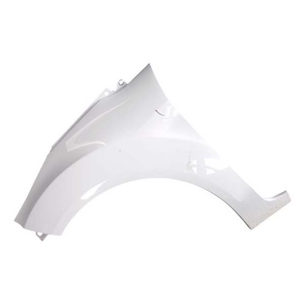 Paralama Esquerdo Ford New Fiesta 2011 2012 2013 