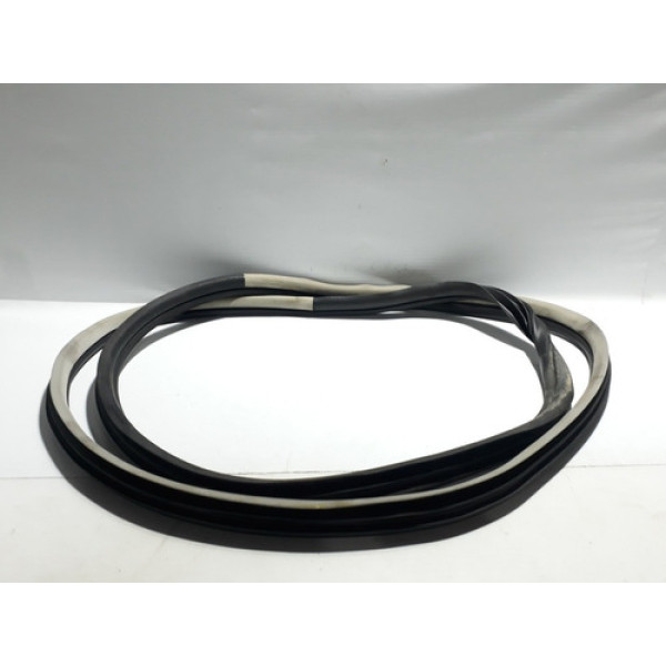 Borracha Porta Dianteira Direita C4 Grand Picasso 2008/2013