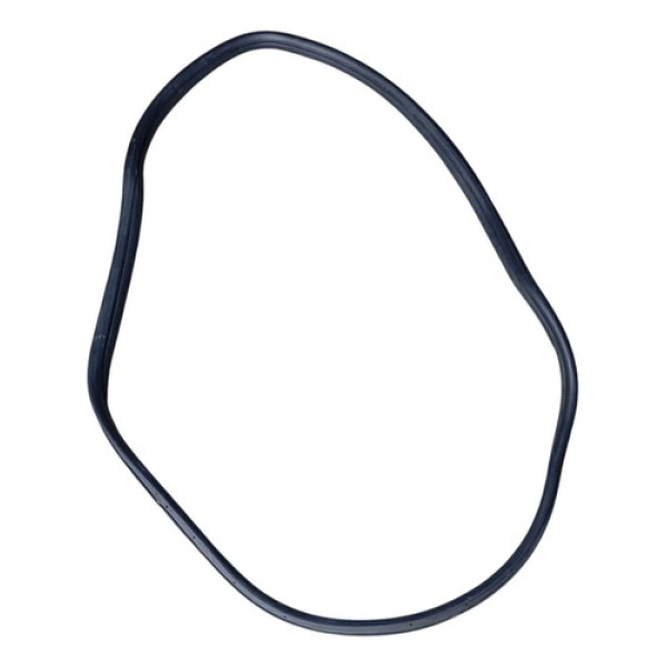 Borracha Porta Traseira Esquerda Vw Gol Voyage 2009 2017