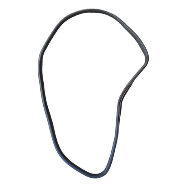 Borracha Porta Traseira Direita Fiat Argo 2017/2020