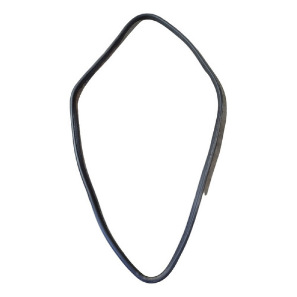 Borracha Porta Dianteira Direita Fiat Argo 2017/2020