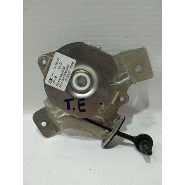 Mola Tampa Inferior Porta Malas L.e Peugeot 3008 2012/2015 